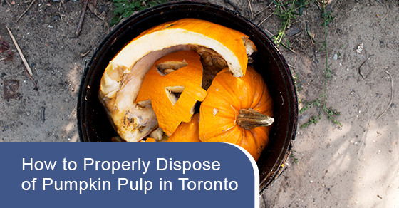 how-to-properly-dispose-of-pumpkin-pulp-in-toronto-advanced-plumbing